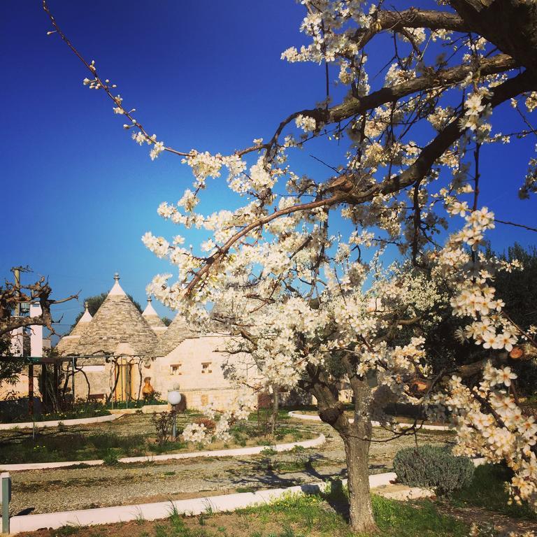 Gasthaus Trulli Di Pozzomasiello Locorotondo Exterior foto